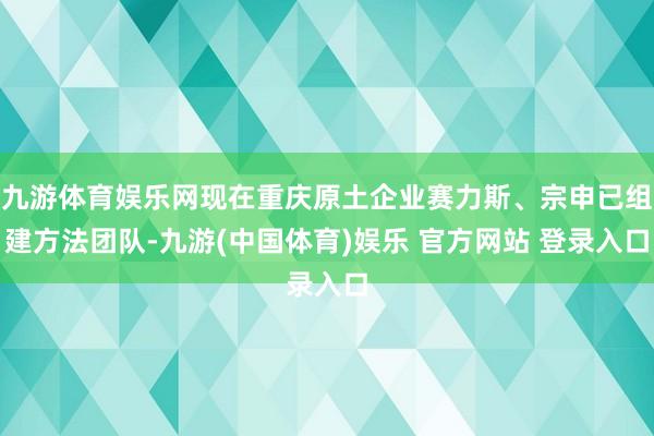 九游体育娱乐网现在重庆原土企业赛力斯、宗申已组建方法团队-九游(中国体育)娱乐 官方网站 登录入口