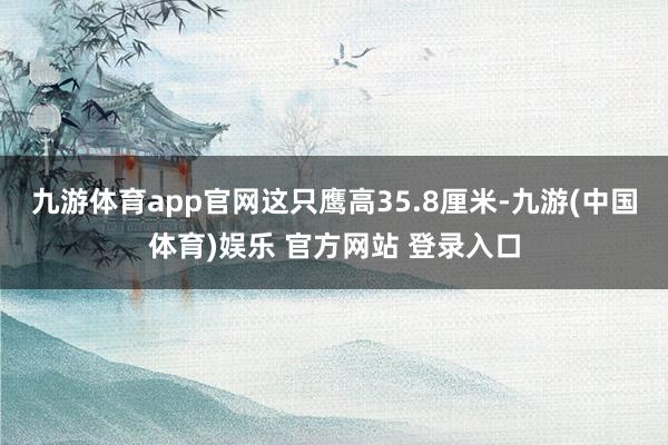 九游体育app官网这只鹰高35.8厘米-九游(中国体育)娱乐 官方网站 登录入口