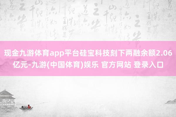 现金九游体育app平台硅宝科技刻下两融余额2.06亿元-九游(中国体育)娱乐 官方网站 登录入口