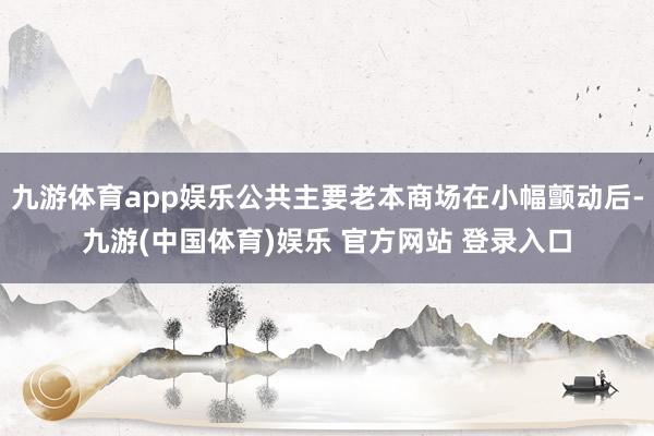 九游体育app娱乐公共主要老本商场在小幅颤动后-九游(中国体育)娱乐 官方网站 登录入口